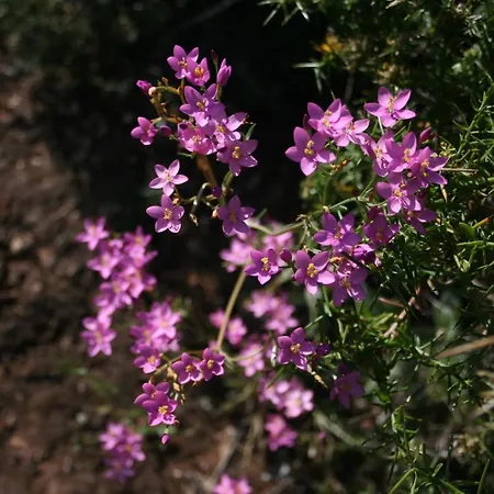 Favorite At Senhora Da Rocha فيلة *