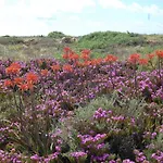 Favorite At Senhora Da Rocha Villa *