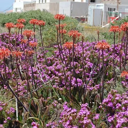 Favorite At Senhora Da Rocha Βίλα